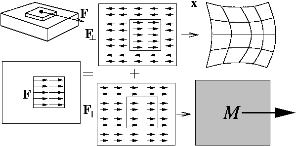 force model